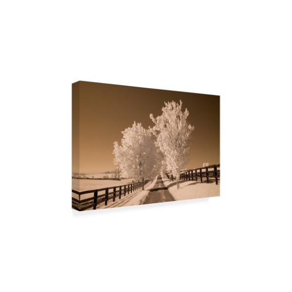 Monte Nagler 'Fence And Trees Kentucky' Canvas Art,16x24